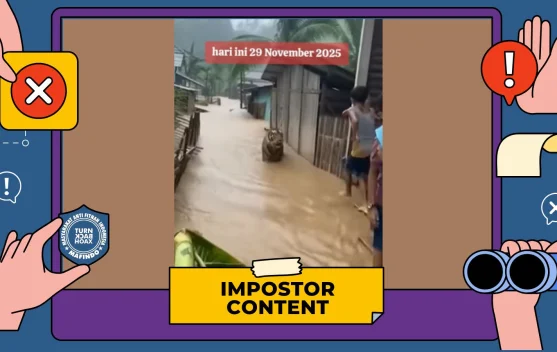 Hoaks Harimau Masuk Pemukiman Warga Saat Banjir Sibolga