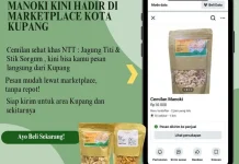 Teknologi Informasi Tingkatkan Ekonomi Pelaku UMKM