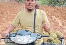 Akses Jalan Kelurahan Nauli-Lobusikkam Sitahuis Terbuka