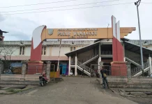 Cek Harga Bapok Peternakan Dan Perikanan Merauke