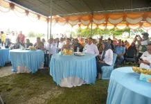 Presiden Umumkan Indonesia Swasembada Pangan, Gorontalo Siap Pertahankan