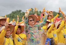 Dua Rekor MURI Jagung Diraih Bengkayang Sekaligus