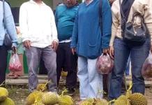 Pesta Buah Perdana Bunguran Timur Laut Meriah