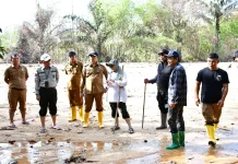 Wabup Tapteng dan Tenaga Ahli Mentan Tinjau Lahan Rehabilitasi Sawah