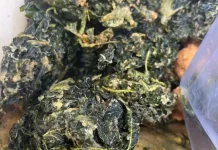 Resep Rolade Daun Singkong yang Gurih dan Unik