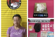 Satresnarkoba Polres Landak Tangkap Wanita Pengedar Narkoba