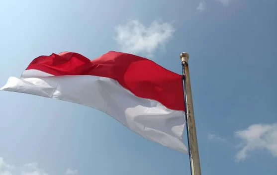 Indonesia Kalahkan Amerika Jadi Negara Paling Berkembang