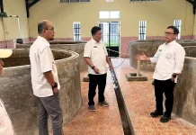 Budidaya Ikan Air Tawar Mendukung Sektor KP Daerah