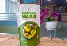 Resep Keripik Daun Melinjo Gurih ala Dapu Berkah