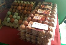 Anggaran Desa Menyusut, Desa Diminta Mandiri Tingkatkan PAD