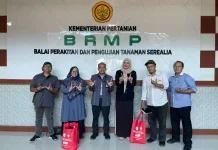 Universitas Wahid Hasyim Uji Adaptasi Jagung Hibrida