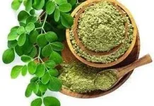 Manfaat Daun Kelor Untuk Kesehatan Wajah