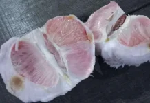 Manfaat Jeruk Bali untuk Ibu Hamil dan Janin