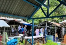 Polda NTT Lakukan Ekshumasi dan Otopsi Korban Anak