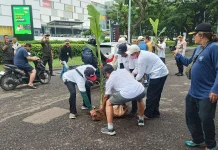 Unjuk Rasa, Warga Perumahan JGC Tanam Pohon Pisang 
