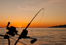 Mengisi Hari Libur dengan Aktivitas Memancing Penuh Ketenangan