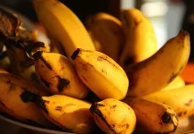 Alasan Kenapa Buah Pisang Berbentuk Melengkung Secara Alami