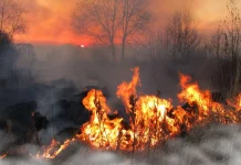 Pembakaran Lahan Picu Gangguan Kesehatan Jangka Panjang