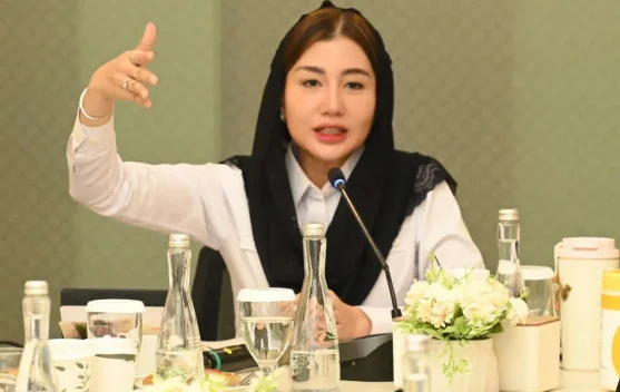 Komisi VII DPR Pertanyakan Visi Jangka Panjang InJourney 