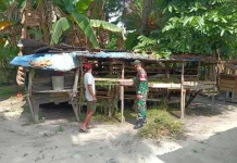 Sertu Firman Sihotang Pantau PMK Ternak Mandau