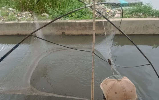 Banjir Datang, Warga Marunda Justru Panen Ikan