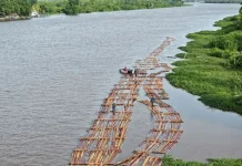 Authorities Foil Illegal Timber Smuggling Attempt in West Kalimantan