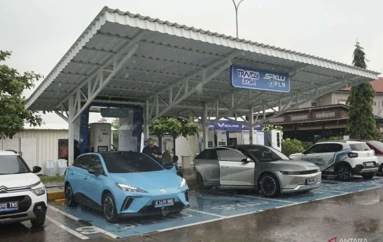 Pengamat Nilai Kendaraan Listrik Efektif Tekan Subsidi Energi