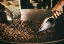 Antara Kopi Arabika dan Robusta, Apa Bedanya?