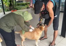 Sudin KPKP Jakpus Targetkan Vaksinasi 6000 HPR