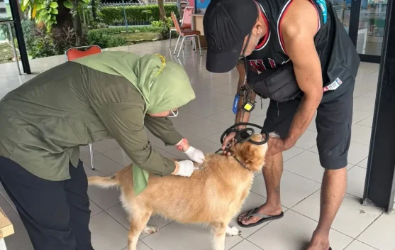 Sudin KPKP Jakpus Targetkan Vaksinasi 6000 HPR