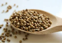 Menakar Manfaat Ketumbar bagi Kesehatan Jantung