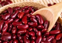 Ini Manfaat Kacang Merah bagi Kesehatan Tubuh