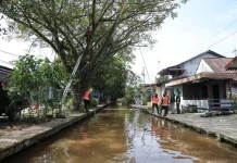 Rutin Tindaklanjuti Aduan Warga soal Perawatan Pohon